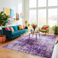 Living room with a purple rug, colorful couch, and decorative elements.