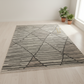 Geometric patterned rug on a light wooden floor with two potted plants.