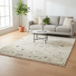Living room with a gray sofa, coffee table, and patterned rug.