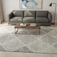 Gray sofa in a living room with a patterned rug and coffee table.