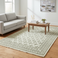 Living room with a gray sofa, wooden coffee table, and patterned rug.