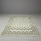 Patterned rug on a plain floor with a neutral background