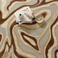 The Sedimentary Drift Rug