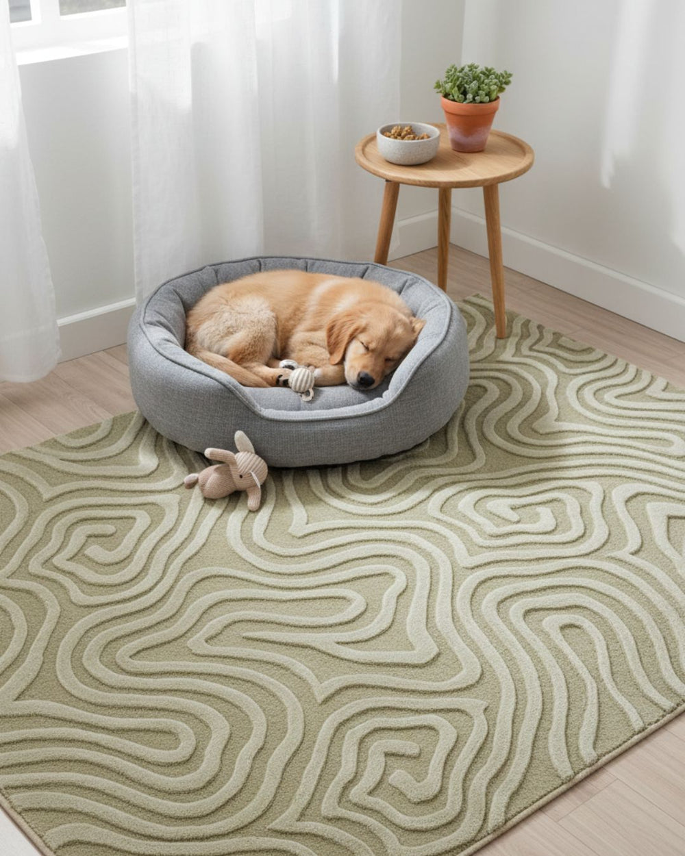 Dog sleeping in a gray pet bed on a patterned rug with a small table and plant in the background.