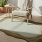 Chair with a blanket on a green and beige rug in a room with a plant and small table.