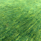 A close-up view of a green textured surface with a fine, pebbled or dotted pattern, filling the entire frame.