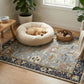 Dog resting on a fluffy beige bed in a cozy living room with a cat in a woven basket.