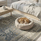 Cat sleeping on a round pet bed in a cozy bedroom with a rug and coffee table.