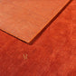 A rectangular area rug in a rich rust red color with a subtle textured pattern and a small gold butterfly motif in the upper left quadrant, shown against a plain white background.