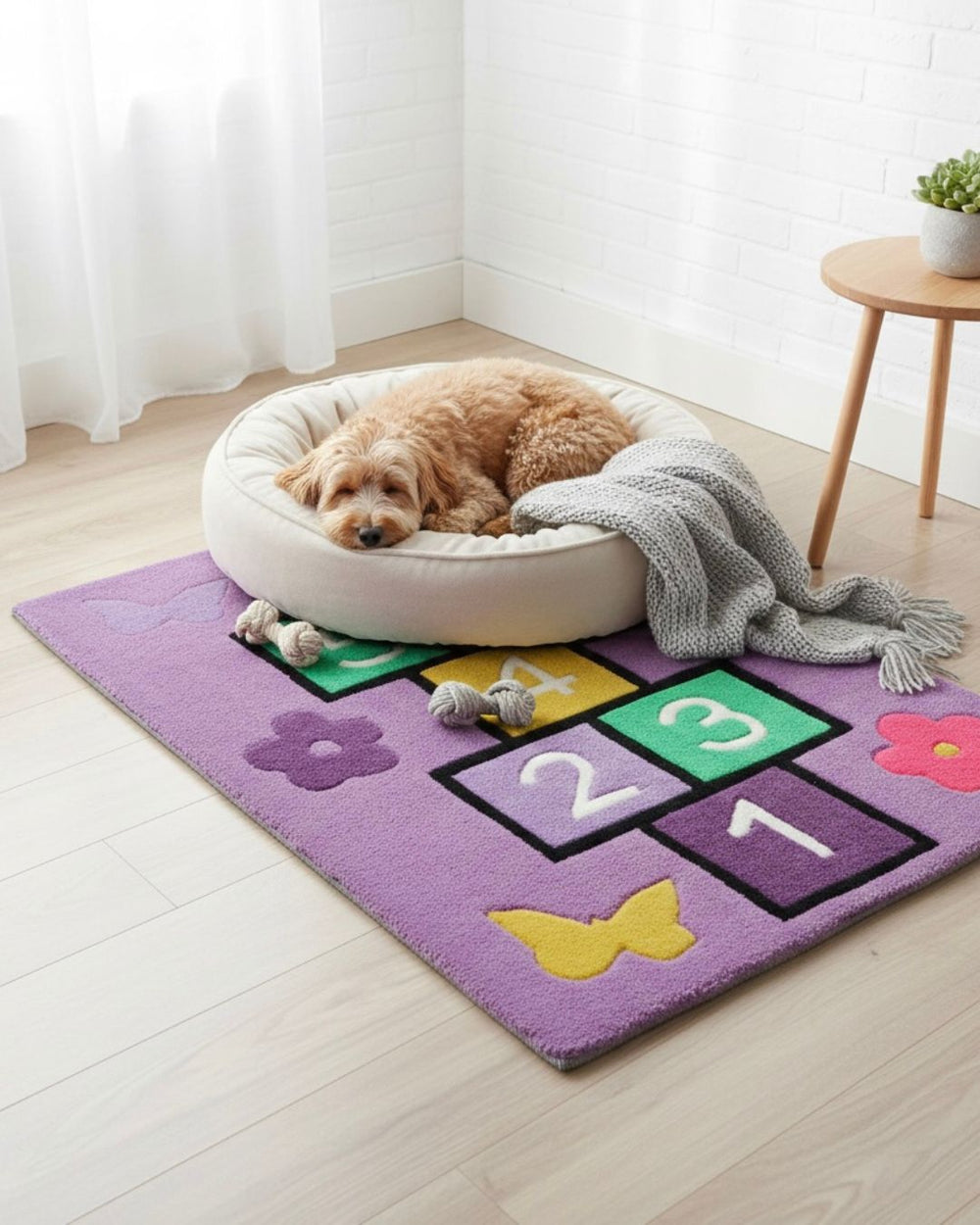 Dog lying on a colorful rug with numbers and shapes in a bright room.