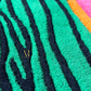 Textured fabric with green and black zebra pattern, featuring a brand logo.